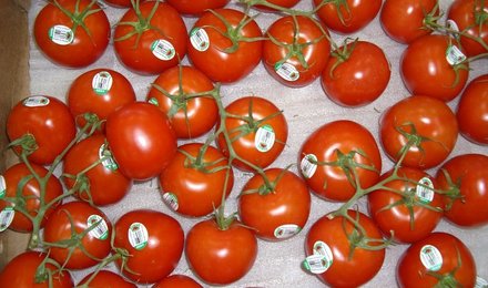 New_market_pics_3-10-10_037
