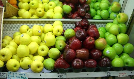 New_market_pics_3-10-10_021
