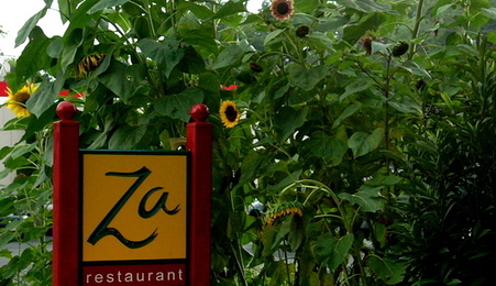 Sunflower_za_sign