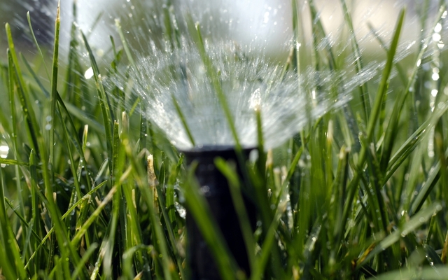 Sprinklerhead
