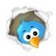 Twitter_64x64