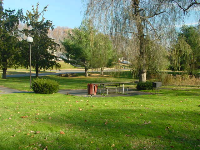 Lionspark3