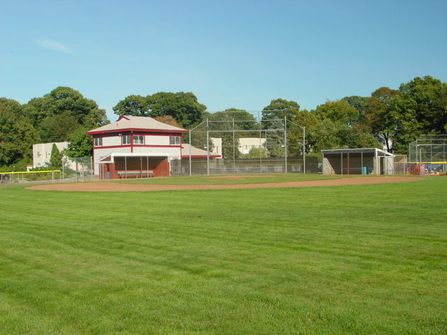 Slineyfield11