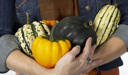 Squash