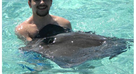 Marennajoe_stingray