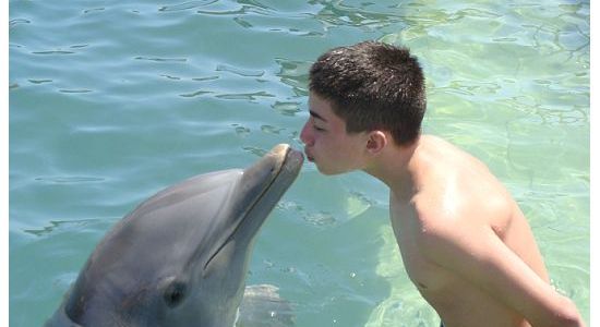 Marennaanthony_dolphin