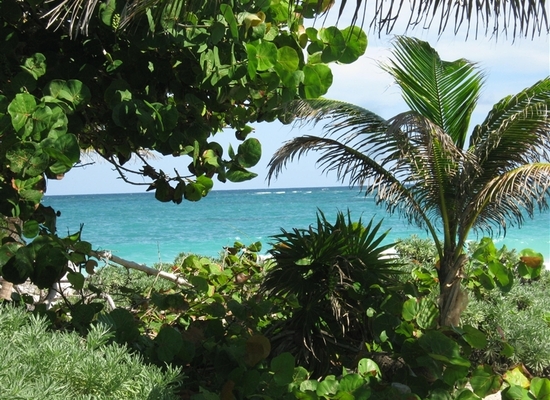 Mayan_ruins_cozumel_0001