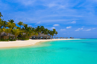 Tropical_beach_bungalows
