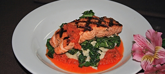 Salmon