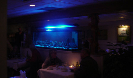 Fish_tank