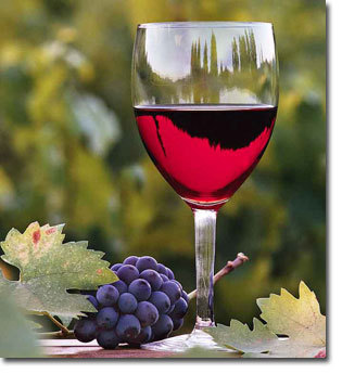 Wine