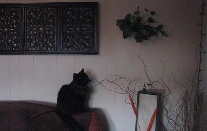 Img_1547__medium_