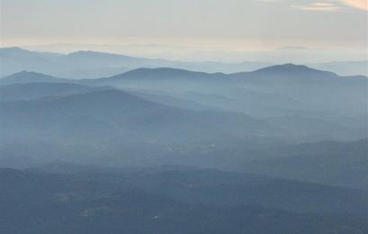 Img_1437__medium_