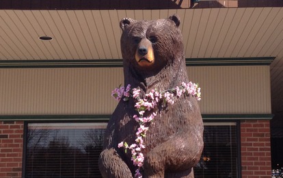 Spring_pics_004