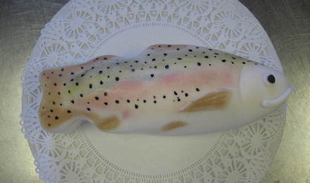 Rainbowtrout