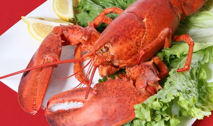 Lobsterdinner
