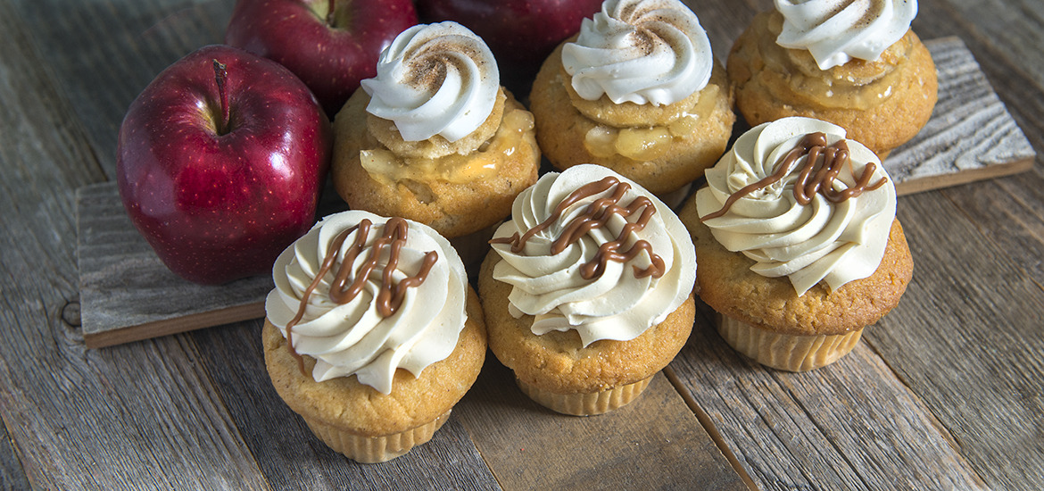 Sugar Bakery Connecticut Cupcakes CT Cupcakes Cakes