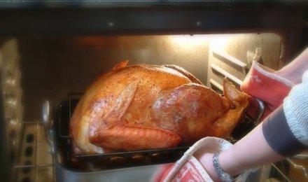 Thanksgiving-turkey