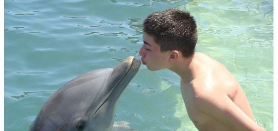 Marennaanthony_dolphin