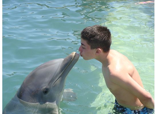 Marennaanthony_dolphin
