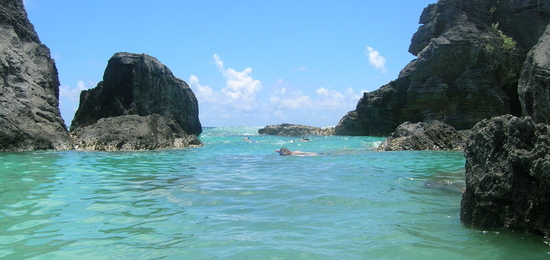 Snorkeling_in_bermuda