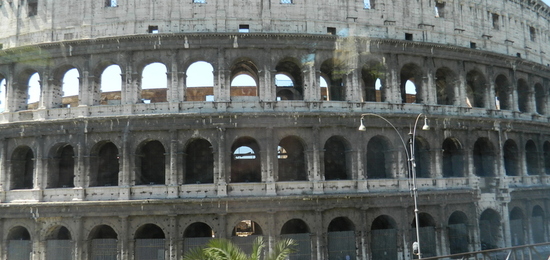 Rose_colloseum