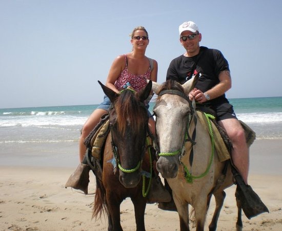 Brassil_horses_photo