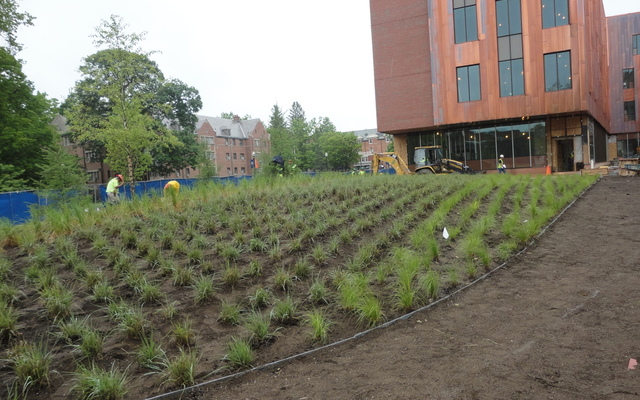 Uconn_west_2