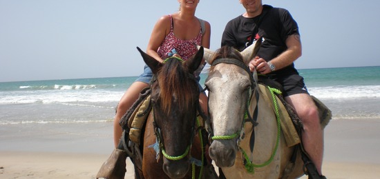 Brassil_horses_photo