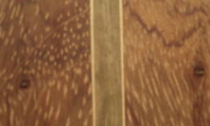 Cimg0302